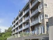 Apartamento para Locação em Florianópolis/SC João Paulo...