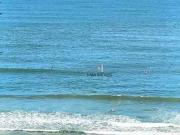 Apartamento para Locação em Guarujá/SP Jardim Astúrias 2...