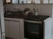 Apartamento para Locação em Guarulhos/SP Vila São Rafael...
