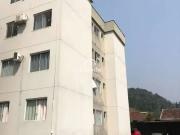 Apartamento para Locação em Jaraguá do Sul/SC Barra do...