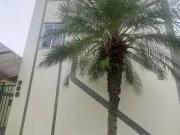 Apartamento para Locação em Juiz de Fora/MG Santa Maria...