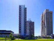 Apartamento para Locação em Pelotas/RS Areal 2 Quartos Apartamento para Locação em Pelotas/RS Areal 2 Quartos