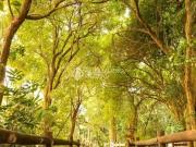 Apartamento para Locação em Porto Alegre/RS Partenon 2...