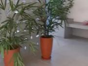 Apartamento para Locação em Praia Grande/SP Canto do...