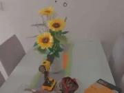 Apartamento para Locação em Praia Grande/SP Cidade Ocian...