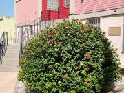 Apartamento para Locação em Rio de Janeiro/RJ Taquara 2...