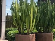 Apartamento para LocaÃ§Ã£o em SÃ£o JosÃ dos Campos,...