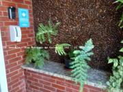 Apartamento para Locação em São Paulo, Alto da Mooca, 2...