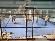 Apartamento para Locação em São Paulo/SP Chácara Santo...