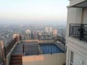 Apartamento para Locação em São Paulo/SP Ipiranga 3 Quartos