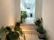 Apartamento para Locação em São Paulo/SP Jabaquara 1 Quartos