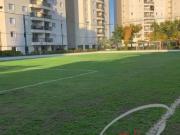 Apartamento para Locação em São Paulo/SP Jaguaré 3 Quartos