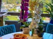 Apartamento para Locação em São Paulo/SP Jardim América...