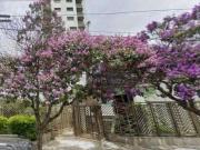 Apartamento para Locação em São Paulo/SP Mooca 3 Quartos