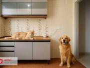 Apartamento para Locação em São Paulo/SP Morumbi 2 Quartos