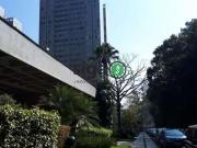 Apartamento para Locação em São Paulo/SP Morumbi 3 Quartos