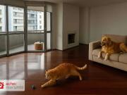 Apartamento para Locação em São Paulo/SP Morumbi 4 Quartos