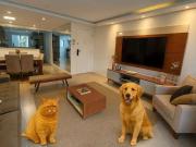 Apartamento para Locação em São Paulo/SP Panamby 4 Quartos