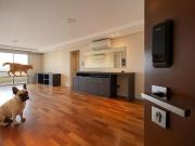 Apartamento para Locação em São Paulo/SP Paraíso do...