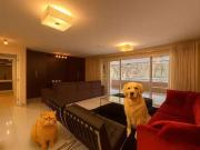 Apartamento para Locação em São Paulo/SP Paraíso do...