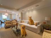 Apartamento para Locação em São Paulo/SP Paraíso do...