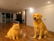 Apartamento para Locação em São Paulo/SP Paraíso do...