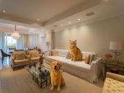 Apartamento para Locação em São Paulo/SP Paraíso do...