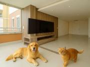 Apartamento para Locação em São Paulo/SP Paraíso do...