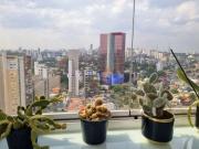 Apartamento para Locação em São Paulo/SP Pinheiros 2 Quartos