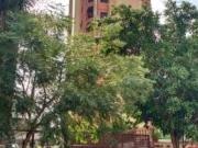 Apartamento para Locação em São Paulo/SP Santa Cecília 1...