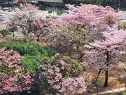 Apartamento para Locação em São Paulo/SP Várzea da Barra...