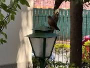 Apartamento para Locação em São Paulo/SP Vila Cordeiro 3...