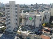 Apartamento para Locação em São Paulo/SP Vila Emir 3 Quartos