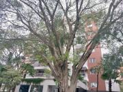 Apartamento para Locação em São Paulo/SP Vila Madalena 1...