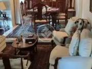 Apartamento para Locação em São Paulo/SP Vila Uberabinha...