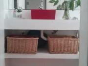 Apartamento Mobiliado para LocaÃ§Ã£o em Salvador,...