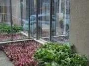 Apartamento para Locação em Vila Velha/ES Praia de...