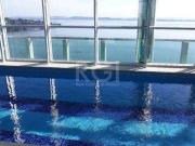 Apartamento para Venda 45m², 1 dormitório, Cristal