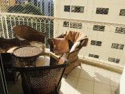 Apartamento para venda em Alphaville Centro Industrial E...