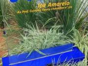 Apartamento para Venda em Araraquara/SP Jardim...