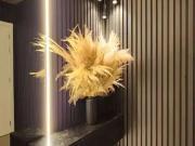 Apartamento para Venda em Barra Velha/SC Itajubá