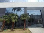 Apartamento para Venda em Belo Horizonte/MG Lourdes 3...