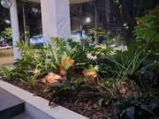 Apartamento para Venda em Belo Horizonte/MG Savassi 1...