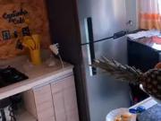 Apartamento para Venda em Betim/MG Vila das Flores 2 Quartos