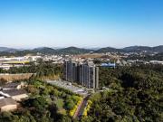 Apartamento para Venda em Blumenau/SC Fidélis 2 Quartos