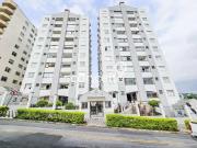 Apartamento para Venda em Blumenau/SC Velha 3 Quartos