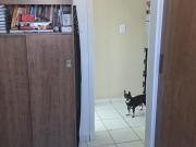 Apartamento para Venda em Campinas, Jd. Tamoio, 2...