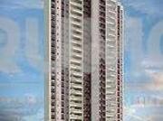 Apartamento para Venda em Campinas/SP Cambuí 3 Quartos