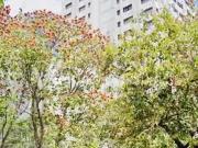 Apartamento para Venda em Campinas/SP Jardim Proença 4...