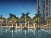 Apartamento para Venda em Campinas/SP Nova Campinas 3... Apartamento para Venda em Campinas/SP Nova Campinas 3...